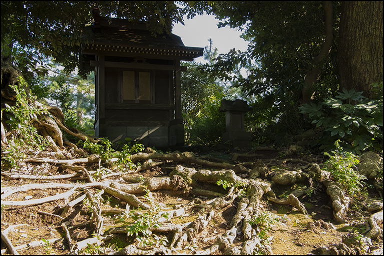 素羽鷹神社