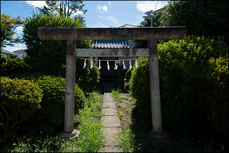 美女神社