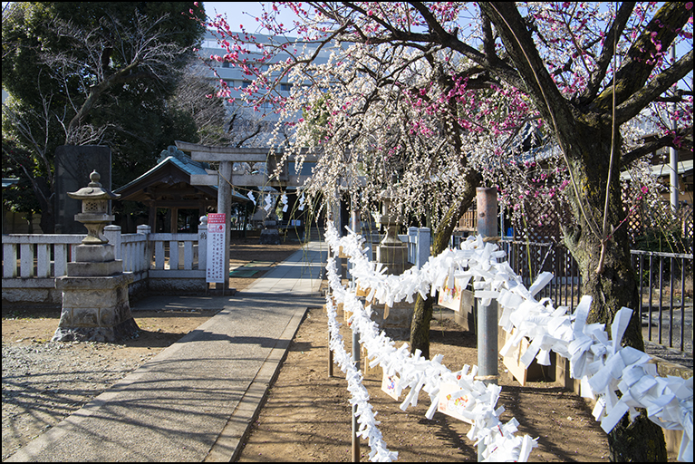 北野八幡神社
