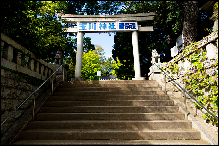 石段に鳥居