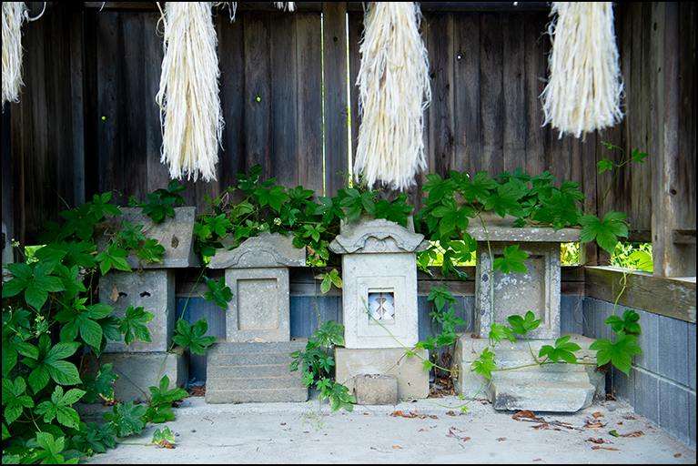 三峯神社・千杉神社・水神社・熊野神社